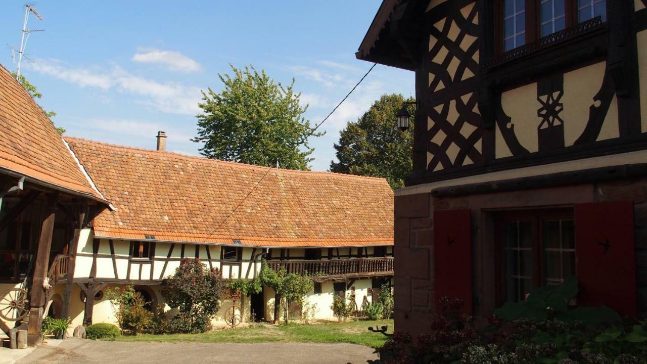 Le Gite Des Ecureuils Schalkendorf Exteriör bild