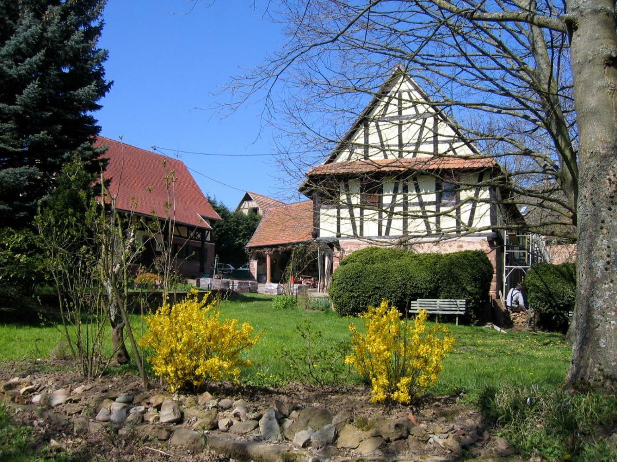Le Gite Des Ecureuils Schalkendorf Exteriör bild
